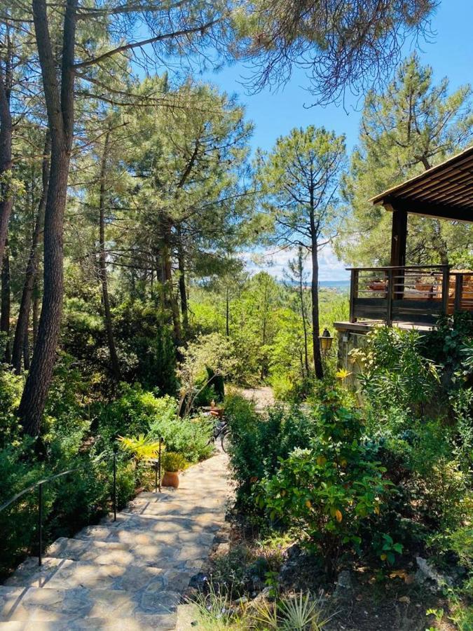 Lou Paradou Lodge Grillon 외부 사진
