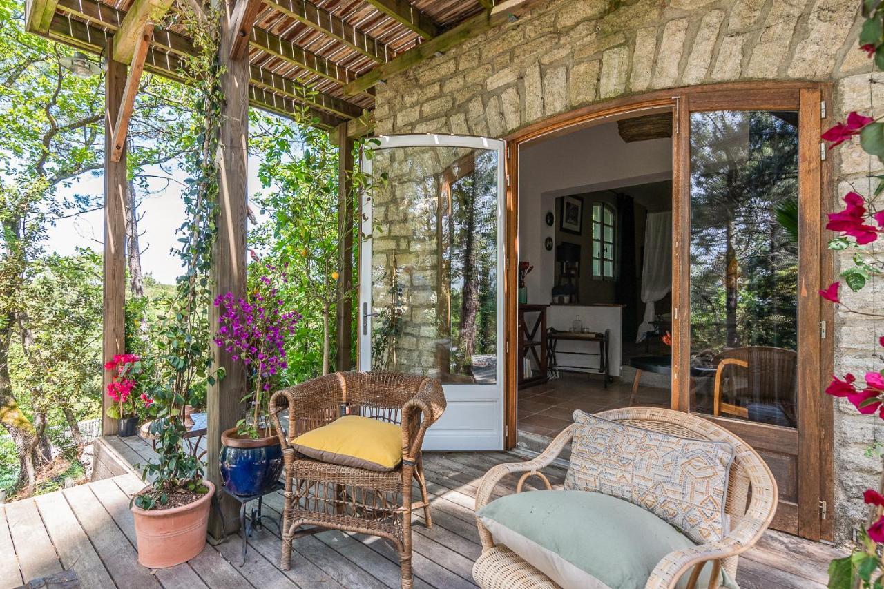 Lou Paradou Lodge Grillon 외부 사진
